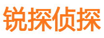 介休资产调查